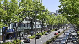 表参道
